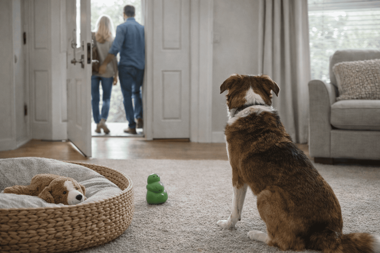 How to Leave Your Dog Home Alone Without Stress