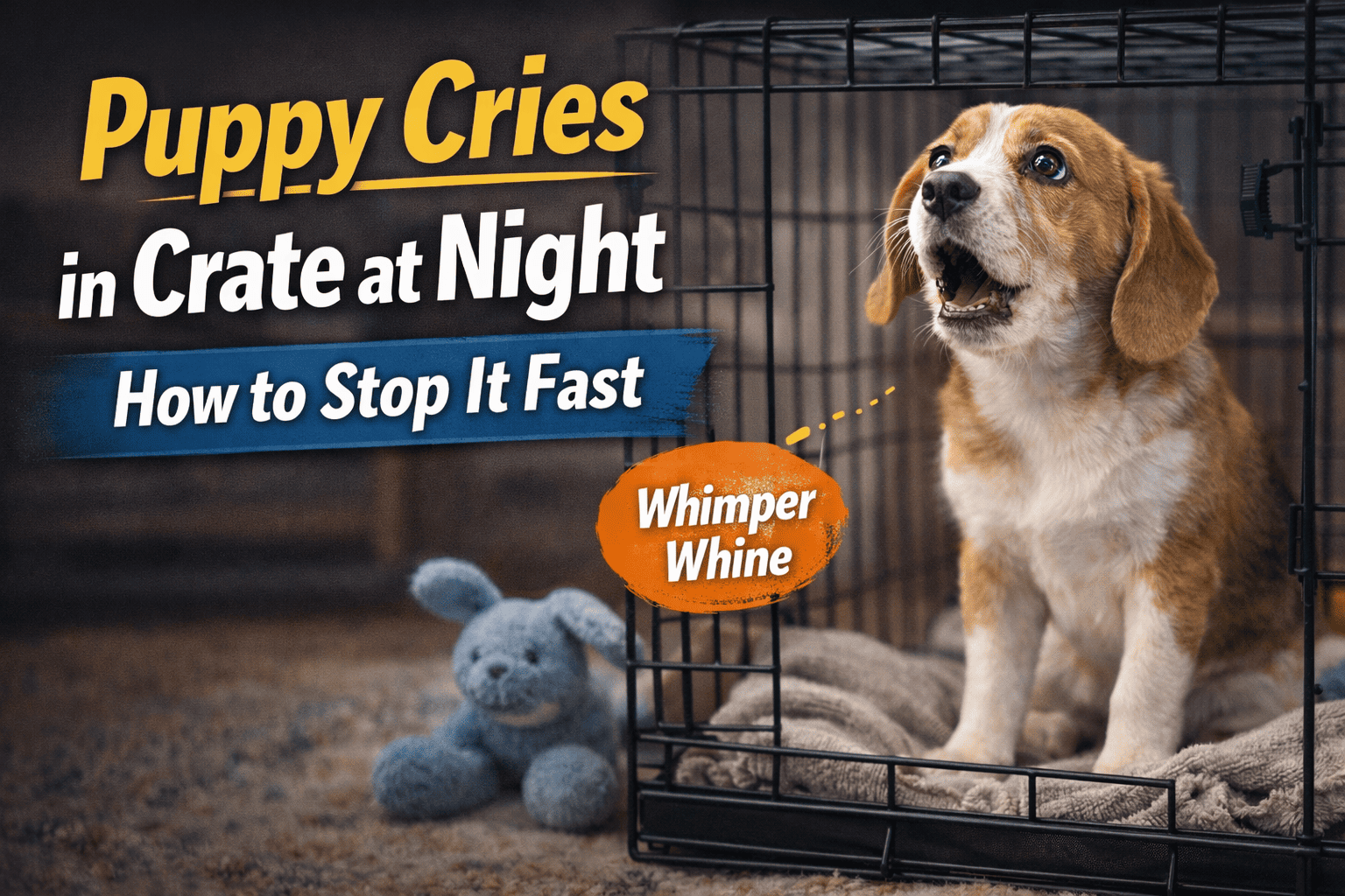 Puppy cries in crate